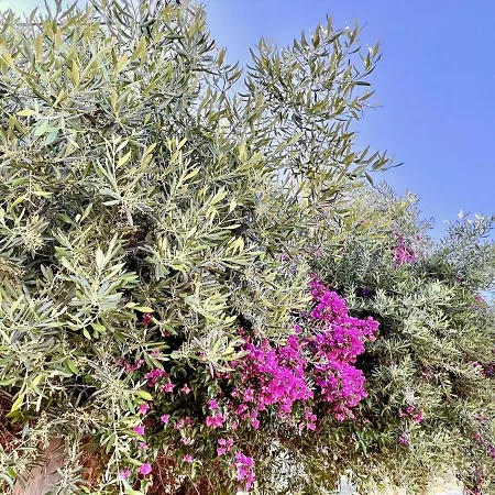 וילה Blu & With Pool By Dadovillas